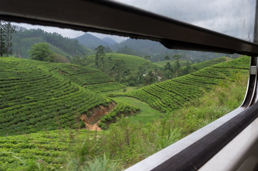 Train d'Ella à Kandy, Sri Lanka