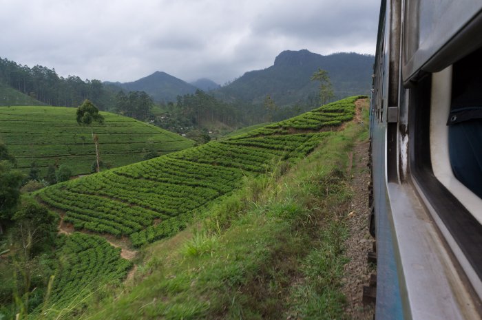 Train d'Ella à Kandy, Sri Lanka