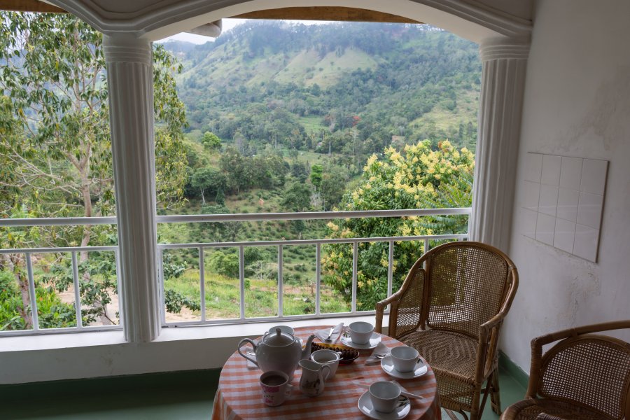 La terrasse du Morning Mist, Ella, Sri Lanka