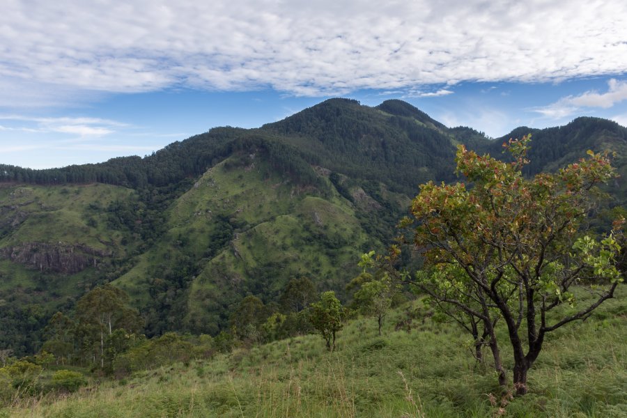 Eagle's rock, Ella, Sri Lanka