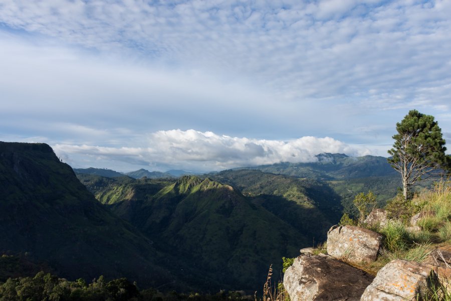 Eagle's rock, près du Morning Mist