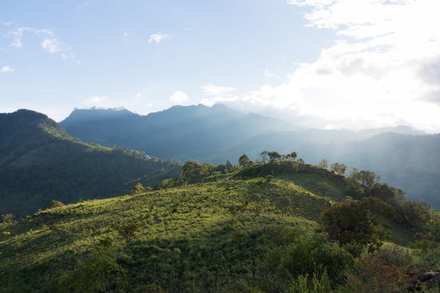 Montagnes sri lankaises, Ella, Sri Lanka