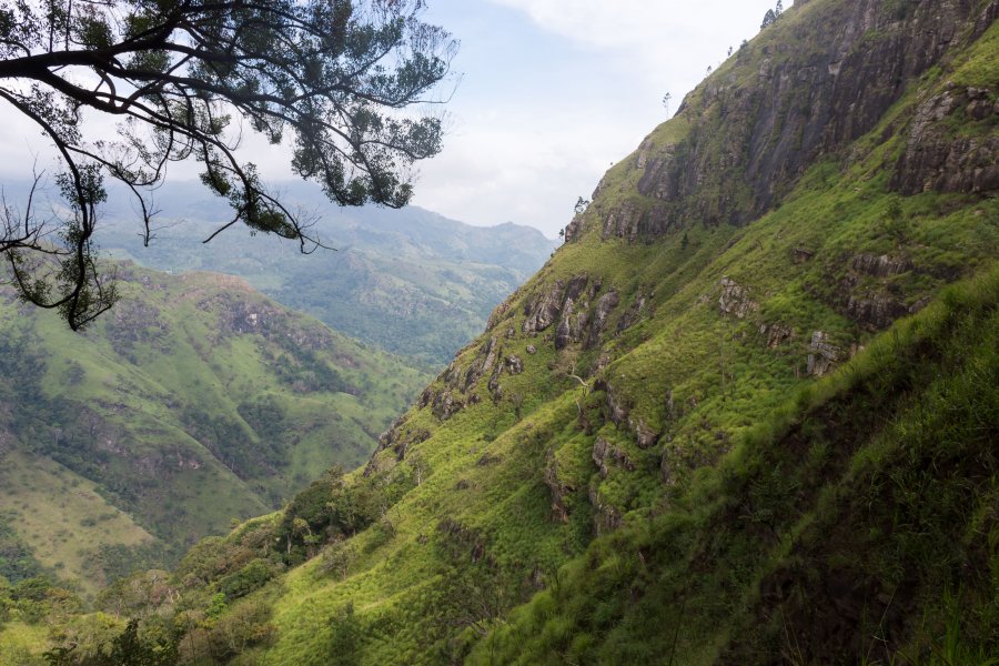 Randonnée Ella's Rock, Sri Lanka