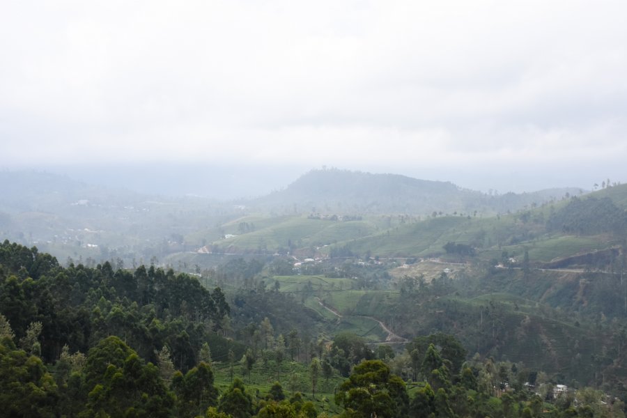 Nuwara Eliya, Sri Lanka