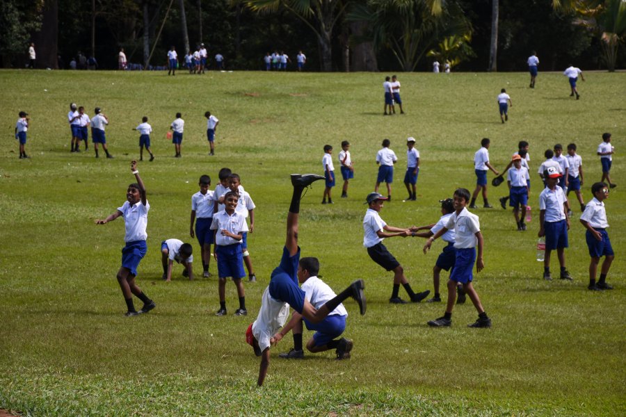 Enfants qui jouent, Jardin botanique de Kandy, Sri Lanka