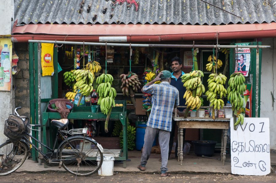 Marchand de fruits à Jaffna