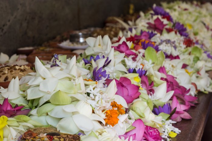 Sri Maha Boodhi Temple, Anuradhapura, Sri Lanka