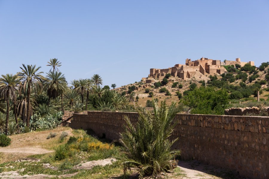 Oasis de Tiout, Taroudant, Maroc