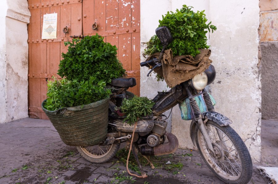 Vendeur de menthe au Maroc