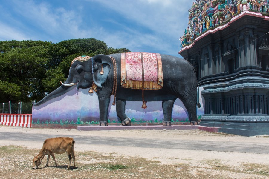 Temple Nagapooshani Amman, île Nainativu