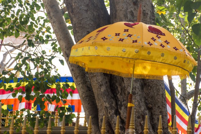 Sri Maha Bodhi Temple, Anuradhapura, Sri Lanka