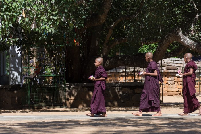 Sri Maha Bodhi Temple, Anuradhapura, Sri Lanka