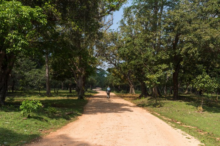 Site antique de Polonnaruwa, Sri Lanka