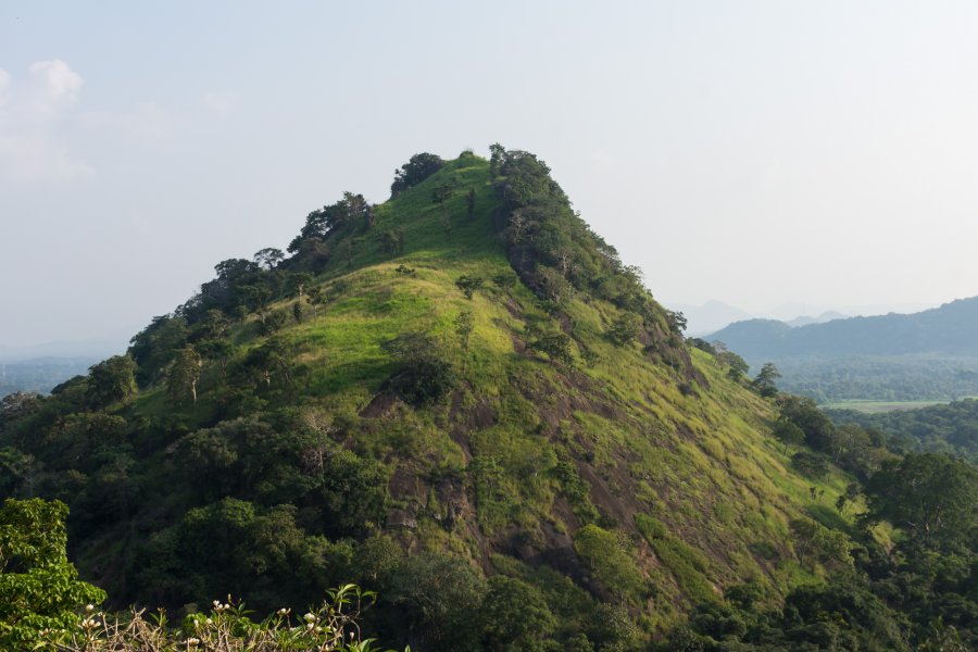 Colline à Dambulla, Sri Lanka