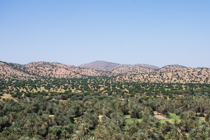Palmeraie de Tiout, Taroudant