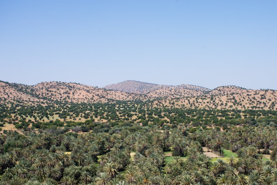 Palmeraie de Tiout, Taroudant