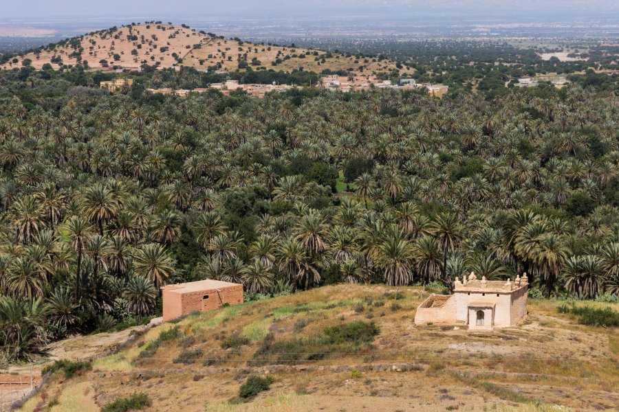 Oasis de Tiout, Taroudant, Maroc