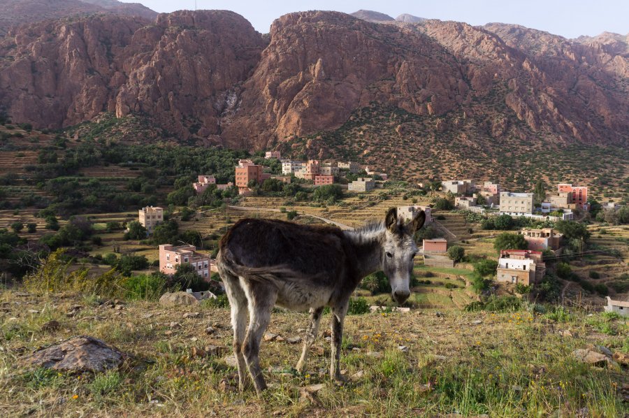 Tafraout, Anti-Atlas, Maroc