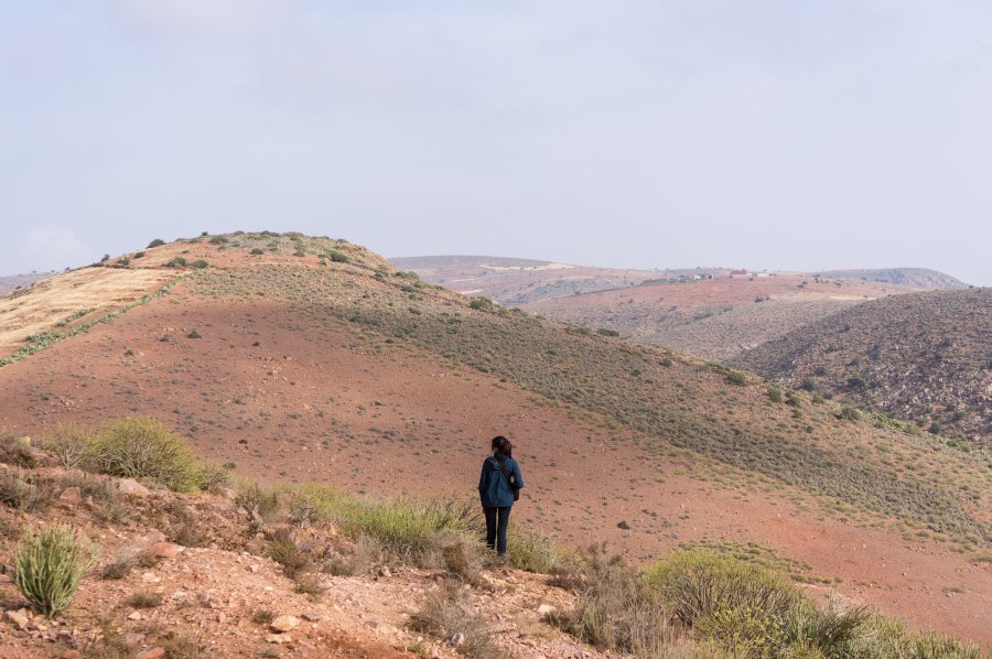 Alentours de Mirleft, Maroc