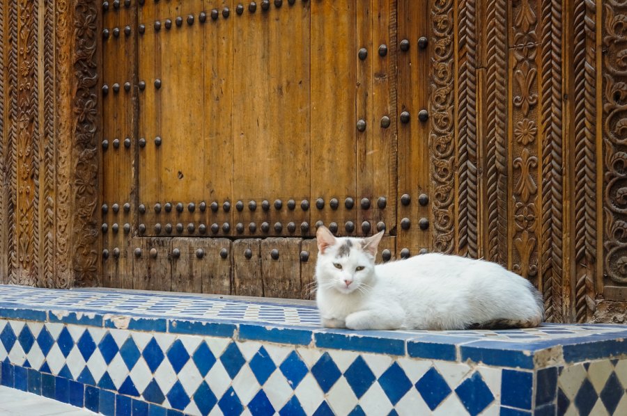 Medina de Fès, Maroc