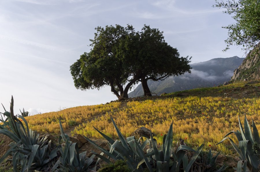 Colline au-dessus de Chefchaouen