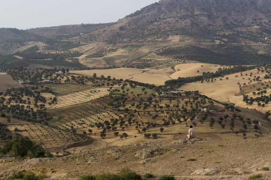 Tombeaux des Mérinides, colline El Qolla, Fès