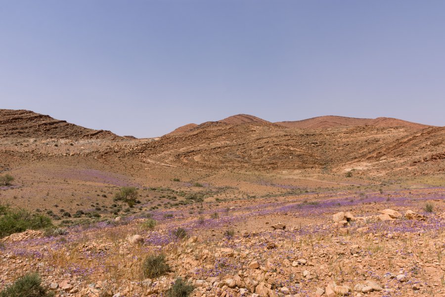 Gorges de l'Aït Mansour, Tafraout, Maroc