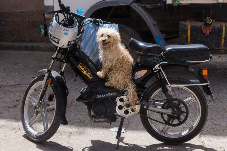 Ville de Tiznit, Maroc