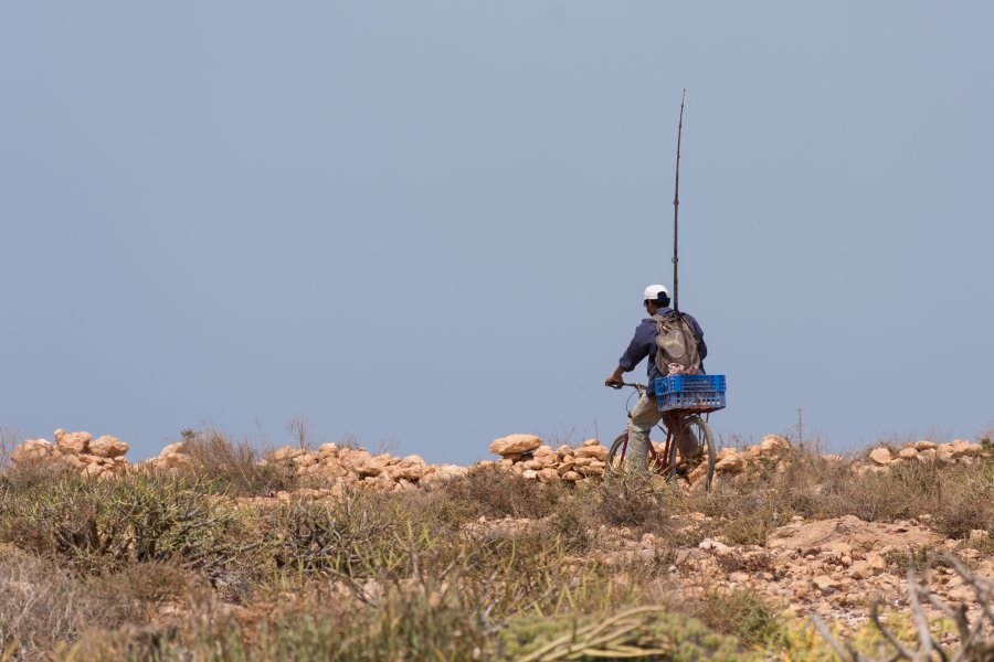 Plage d'Aftas à Mirleft, Maroc