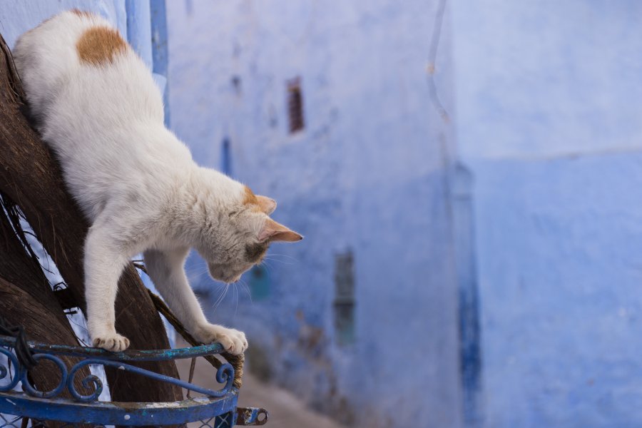 Chefchaouen, Maroc