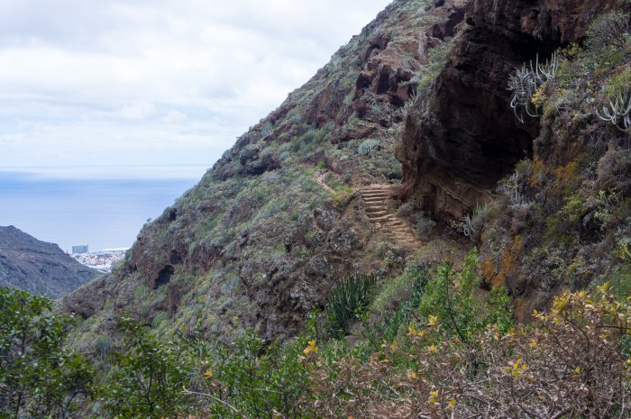 Randonnée vers Punta del Hidalgo, Anaga, Tenerife