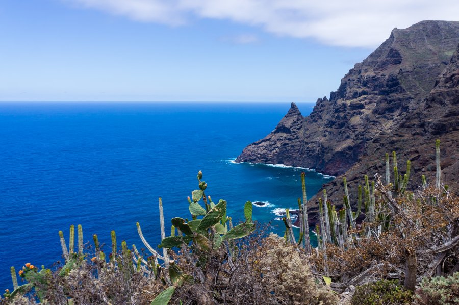 Randonnée de Cruz del Carmen à Punta del Hidalgo, Anaga