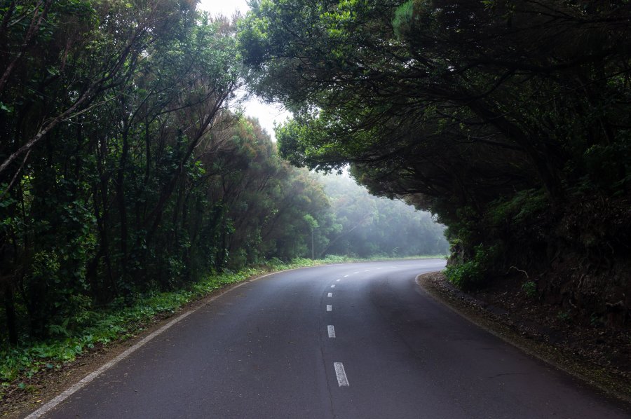 Autour de Cruz del Carmen, Anaga, Tenerife