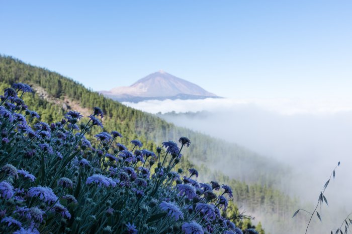 Volcan El Teide, Tenerife, Canaries