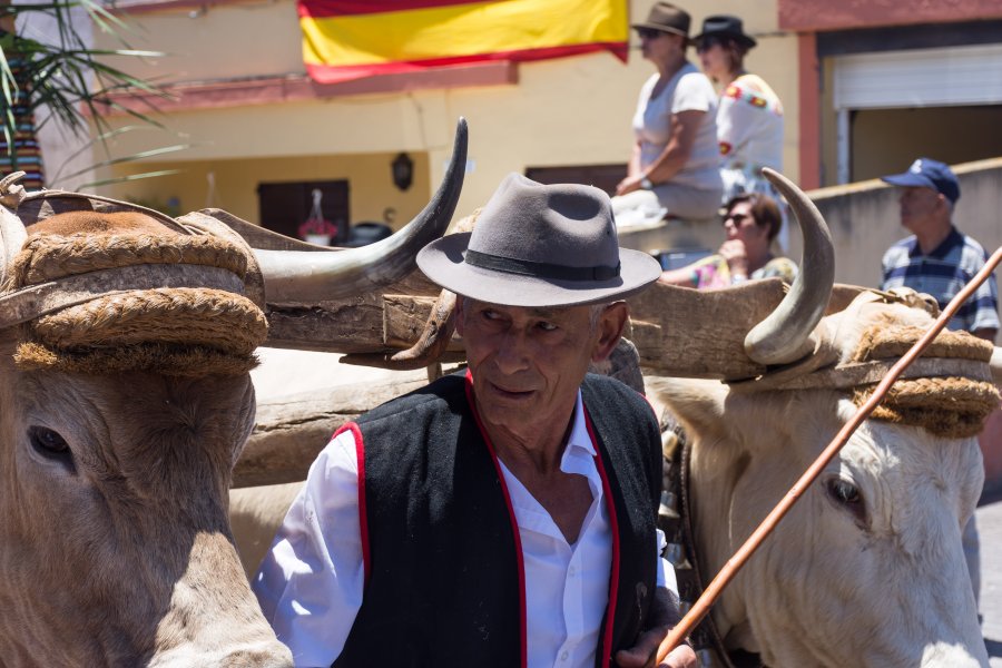 Romería de Las Mercedes, Tenerife