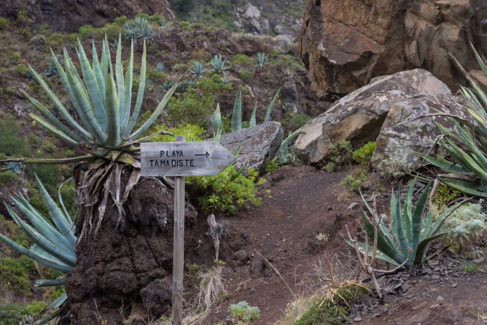Randonnée d'Afur à Taganana, Tenerife