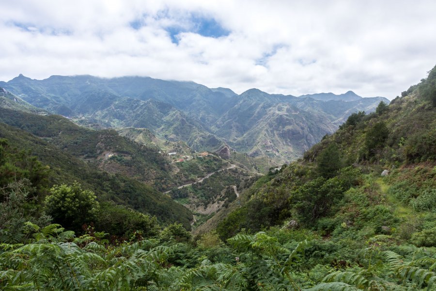 Montagnes de l'Anaga, Tenerife