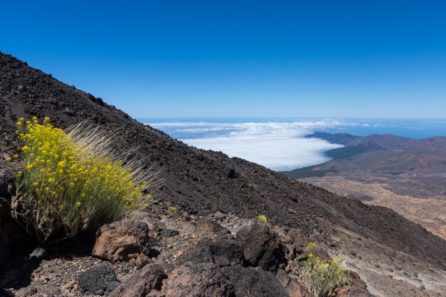 Ascension du volcan Teide, Tenerife