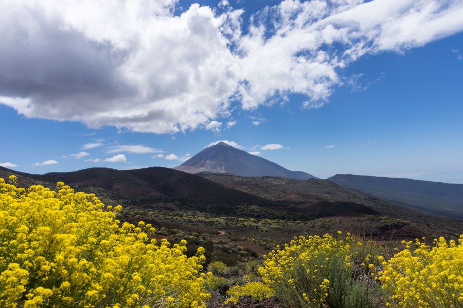 Volcan El Teide, Tenerife, Canaries