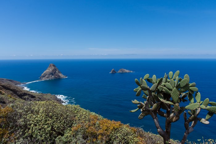 Montagnes de l'Anaga, Tenerife