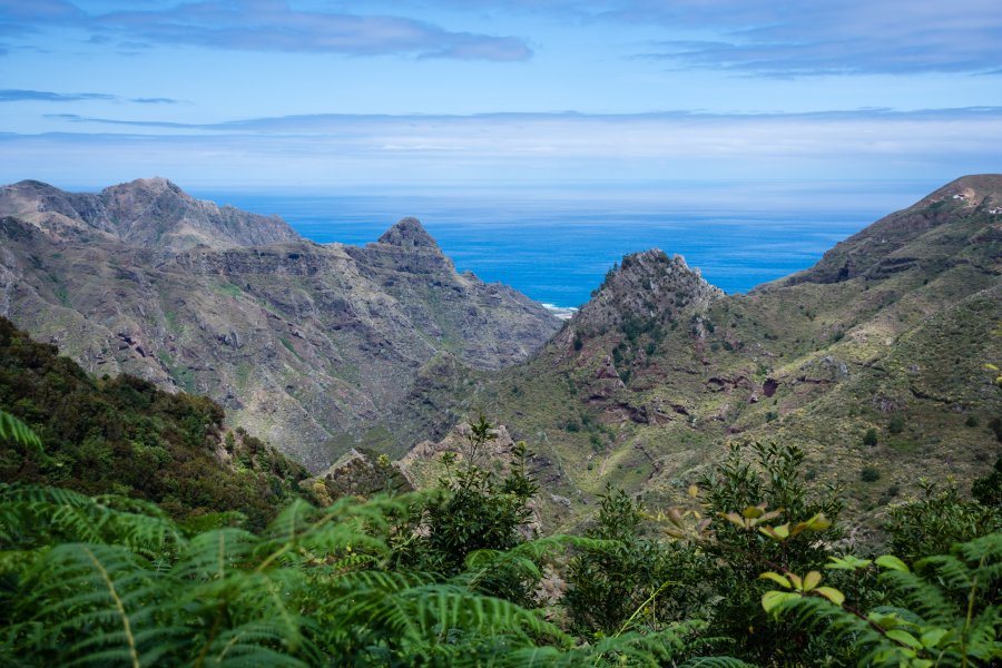 Randonnée Cruz del Carmen - Punta del Hidalgo