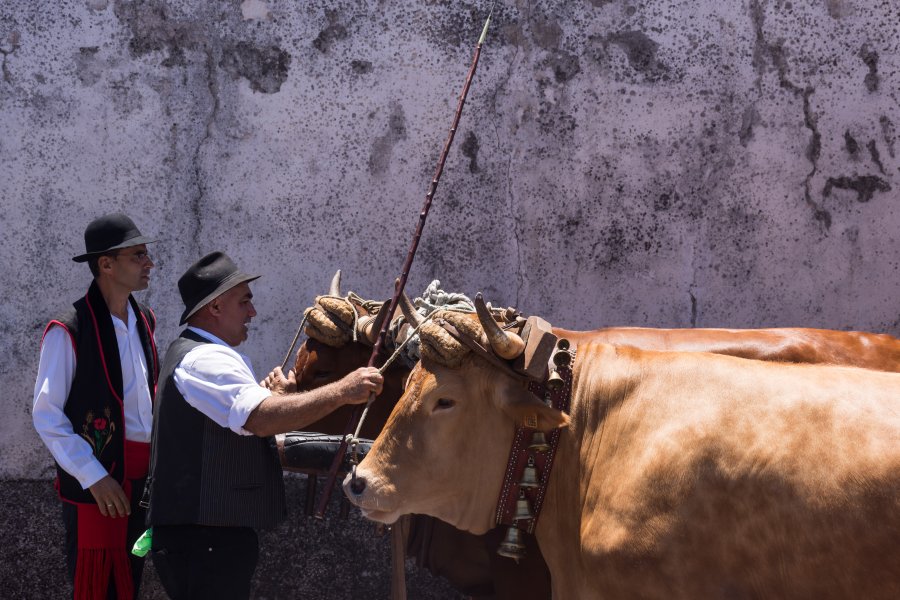 Romeria à Tenerife, Canaries