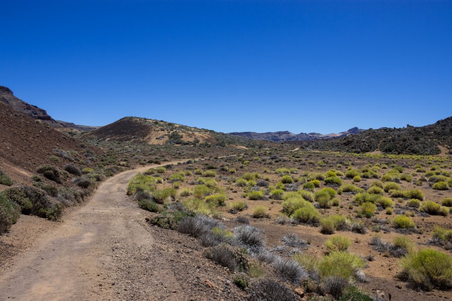 Randonnée des Siete Cañadas, Teide, Tenerife