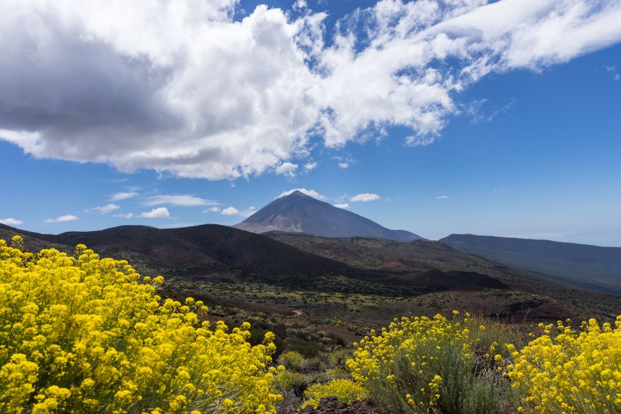Le volcan Teide, Tenerife, Canaries