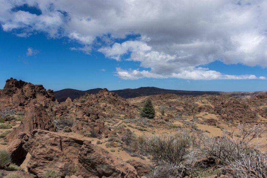 Caldera de Las Cañadas, Tenerife