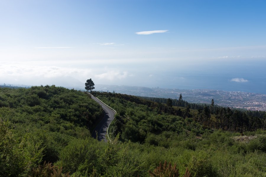 Chemin vers le Teide, Tenerife