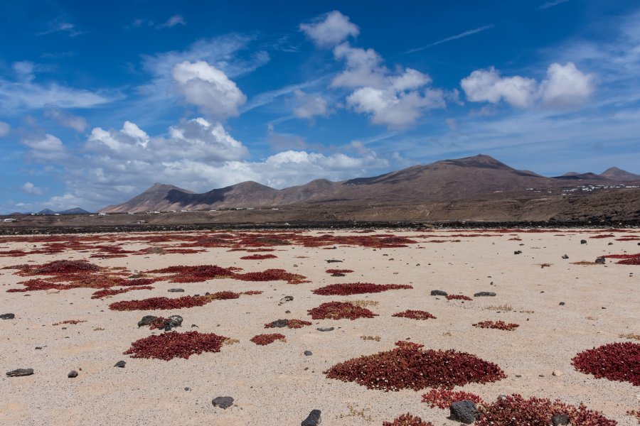 Salines de Janubio, Lanzarote