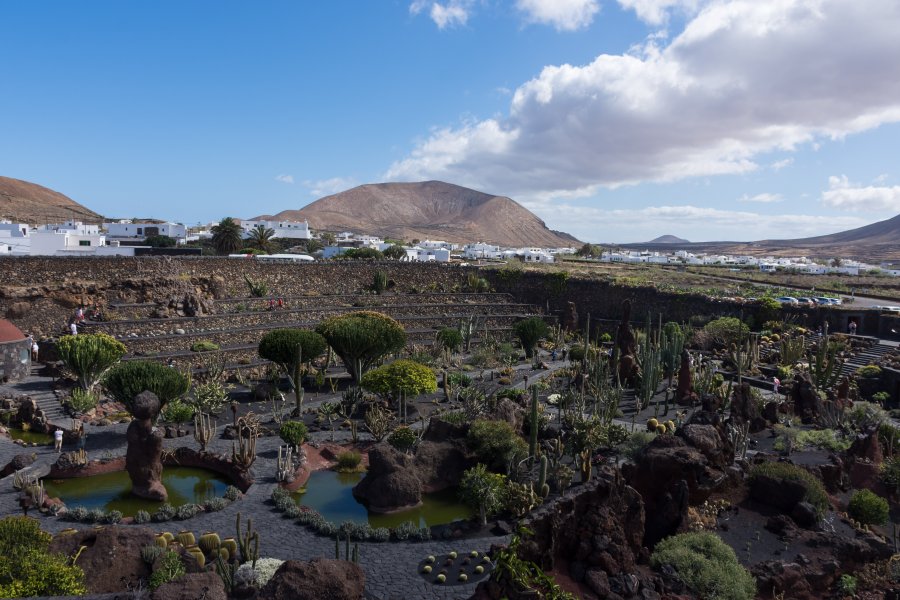 Jardin de cactus, Lanzarote