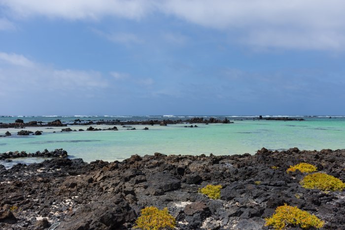 Caleton blanco, Lanzarote