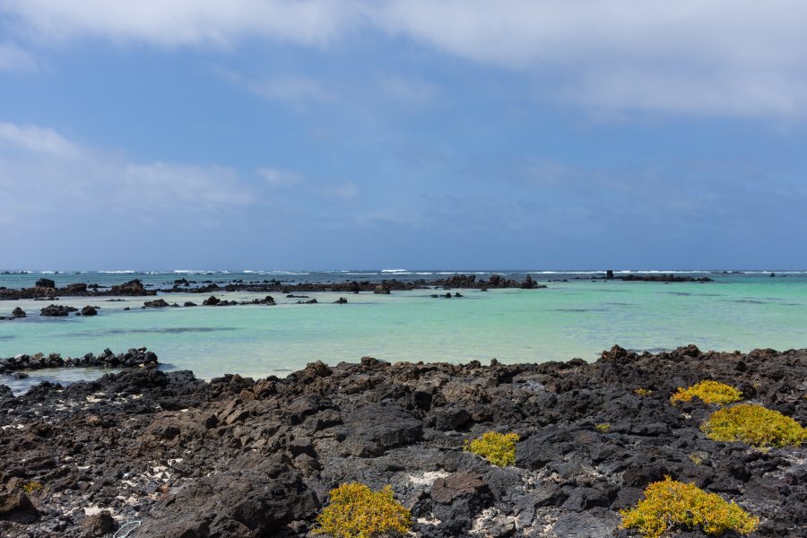 Caleton blanco, Lanzarote